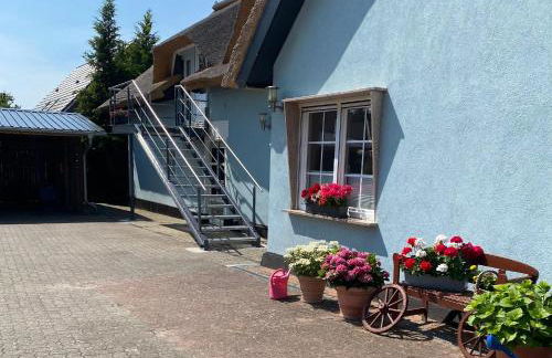 Reethaus Vilmnitz - Ferienwohnung Goor - Foto 47