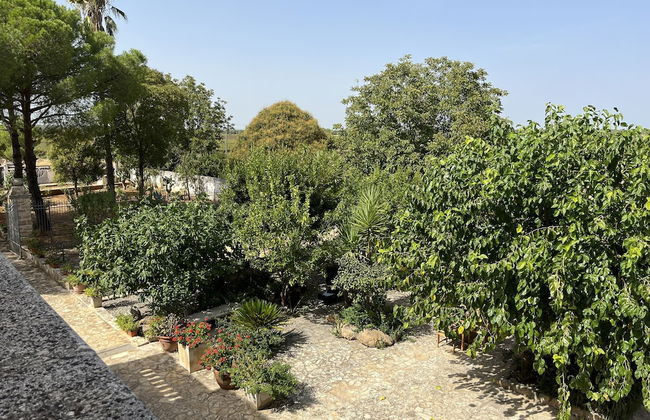 Masseria La Camardia - Foto 56