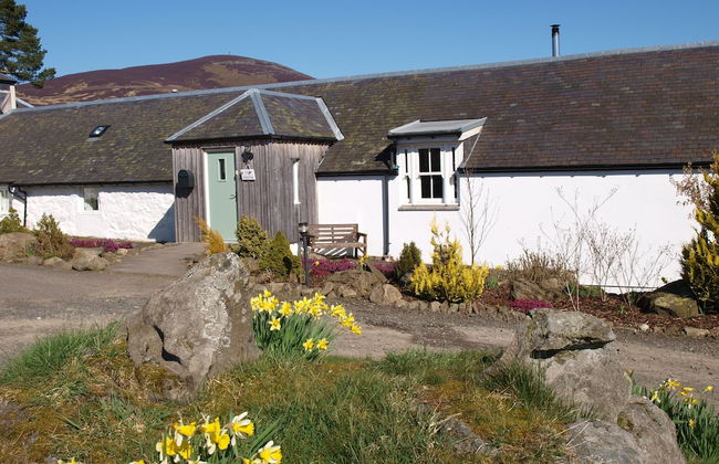 Dalnoid Cottages & Treehouses - Foto 17