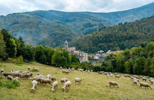 Total Peace and quiet on the top of the mountain, - Foto 7