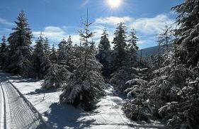 Ferienwohnungen Ebner - Foto 27