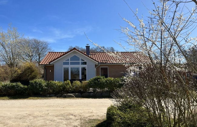 Northern Light House - Foto 21