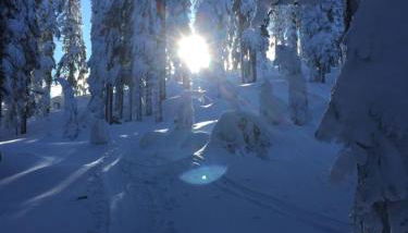 Ferienhaus Zopfhäusl - Foto 3