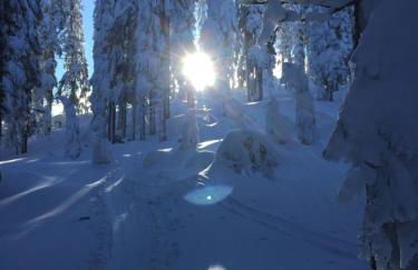 Ferienhaus Zopfhäusl - Foto 3