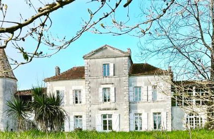 Chateau des Fouilloux - Guest House - Foto 12