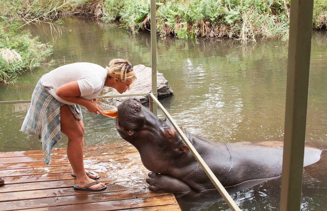 Blyde River Cabin Guesthouse - Foto 33