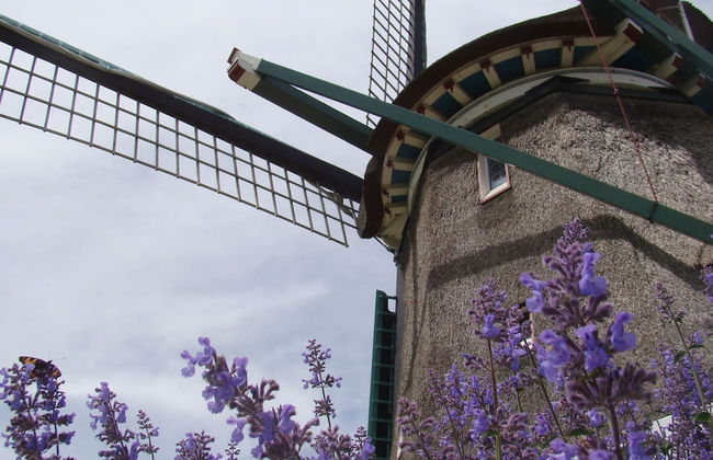 Spacious Holiday Home in the Beemster Near a Windmill - Foto 67