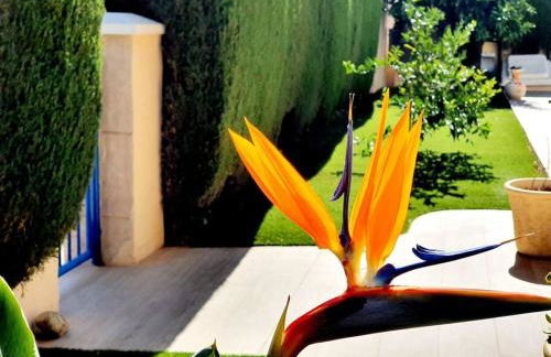 Casa Mariposa Altaona Golf - Foto 70