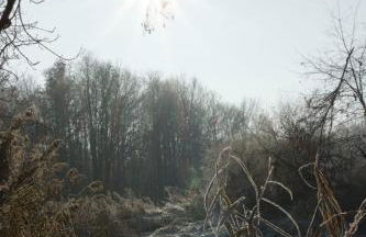 Tinyhaus mit Sauna -RESET im Vilstal - Zurück zum Ursprung - Foto 33