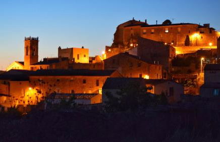 El Niu de Claravalls - Foto 52