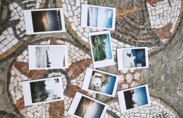 The Artist's Farm - Foto 66