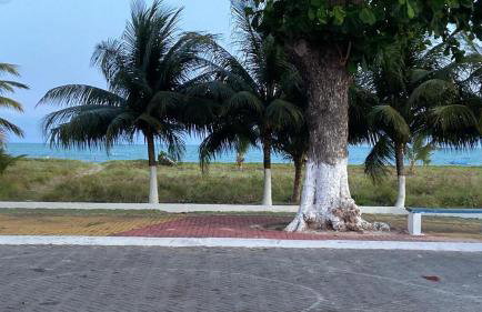 Casa PÉ NA AREIA Paripueira - Foto 32