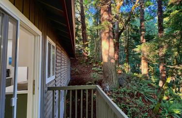 Sudden Valley Luxury Stay-Steps to Lake Louise - Foto 31