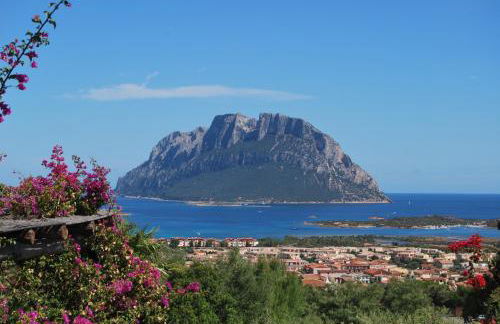 Claude&Kate's dream house - Photo 50