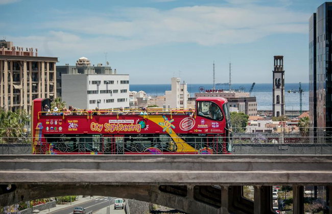 Visite de la ville Santa Cruz de Tenerife - Circuit en bus à arrêts multiples - Photo 14