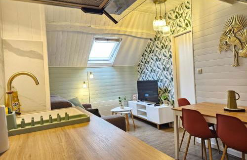 T2 Ctre ville Fibre proche Beauval - Photo 30