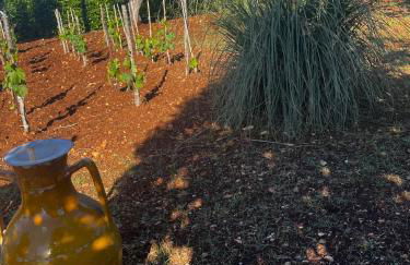 Trullo in vigna - Foto 47