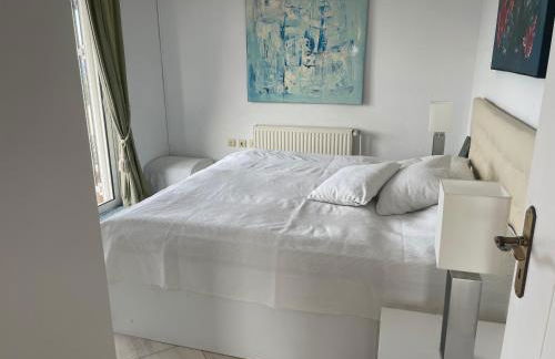 Carpe Diem - Photo 11