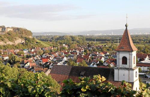 Mariposa Apartamento - Foto 25