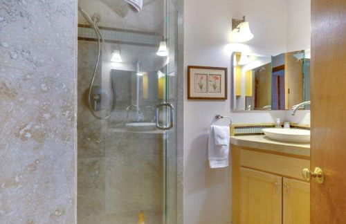 Healdsburg Home with Magnificent Vineyard View home - Foto 15