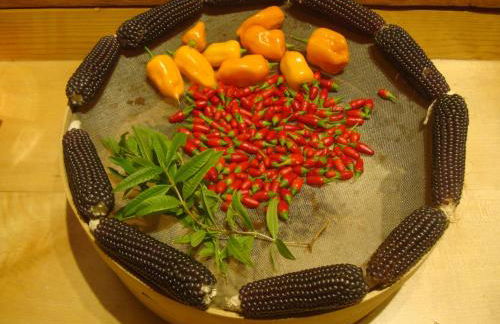 The Strawhouse under the mountain - Foto 44