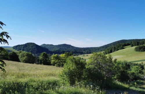 Słoneczna Terka - Domek w Bieszczadach - Foto 7