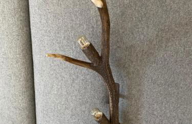 La Tana dell'Orso Bormio - Nature and Welness - Foto 32