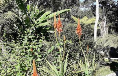 Cabana aconchegante na natureza - Foto 13