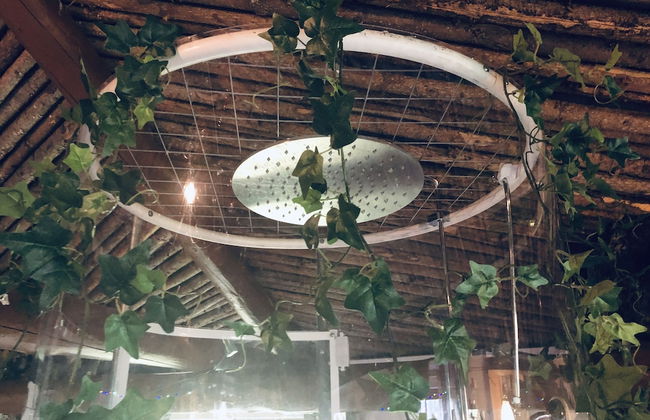 Treehouse Magpies Nest With Bubble Pool - Foto 33