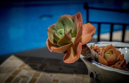 Finca Sonrisa - Photo 36