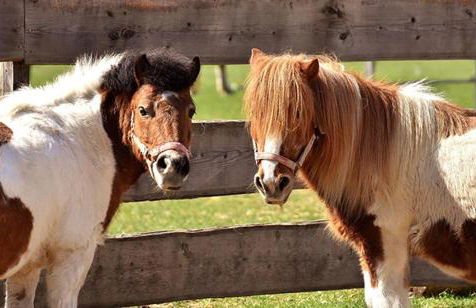 Appartement 2 pièces dans résidence bord de mer aux Sables d'Olonne - Foto 26