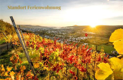 Ferienwohnung RebenFREUND - Foto 20