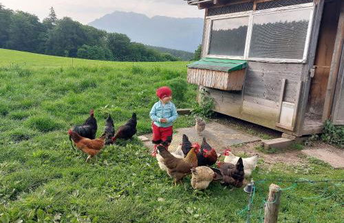 Fuchsbauernhof - Foto 9