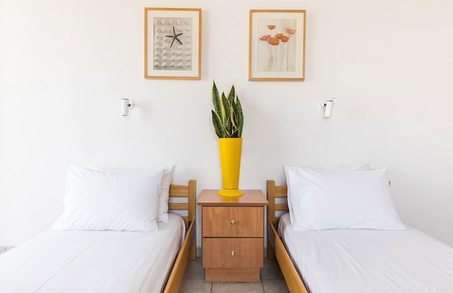 White Bluebell - Foto 5