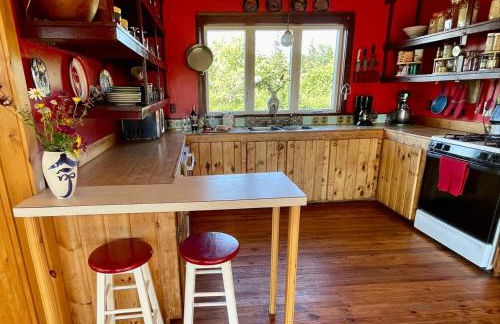 DownEast DownHome - Foto 12