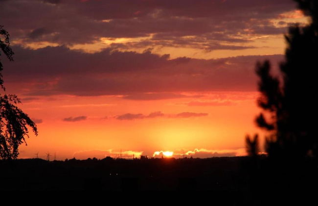 Cozy Holiday Home in Gedinne near Forest - Photo 36