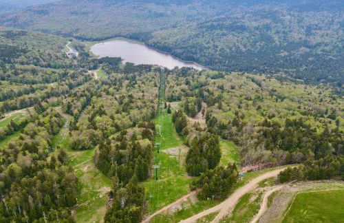 Remodeled Ski In-Out - 305 Soaring Eagle - Luxury! - Foto 44