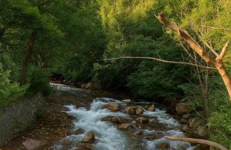 Adamello Bijoux - Ponte di legno - Foto 29