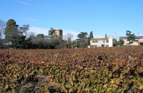 Mas Miraflors - Foto 39