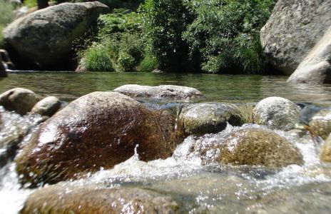 Puente Canto de Gredos - Photo 71