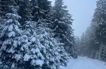 Ferienwohnung Ruppbergblick - Foto 17