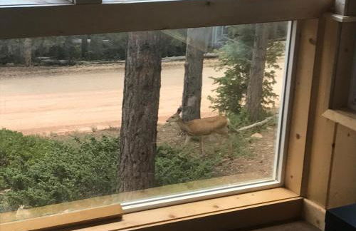 Amazing views near Strawberry Point! - Foto 21