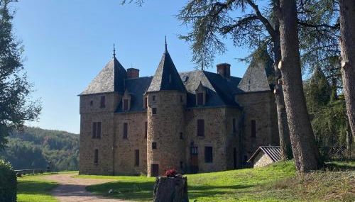 Château de Bussolles - Foto 2, Garden, Garden view