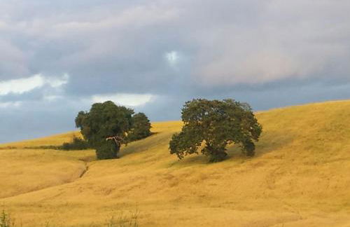 Agriturismo San Pierino - Foto 40