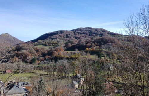 au massoubro - Photo 3