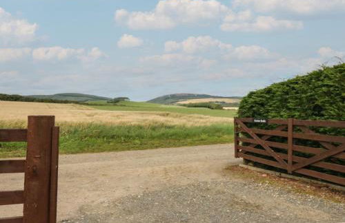 Garden Studio - Foto 20