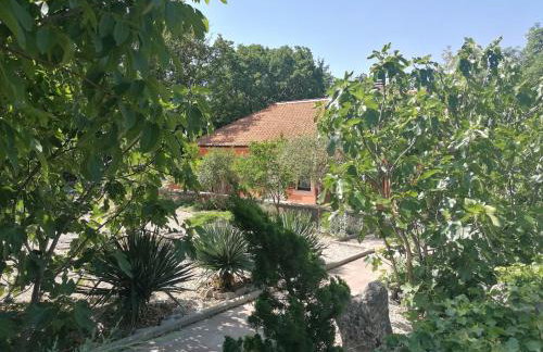 The Forest House Krk 2 - Photo 62