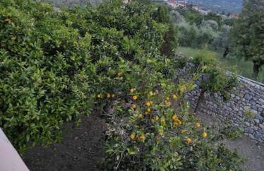 KTHMA "Ν" Πέτρινη Μεζονέτα - Photo 38