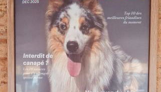 LA MAISON D'ULYSSE spa et détente - Foto 2