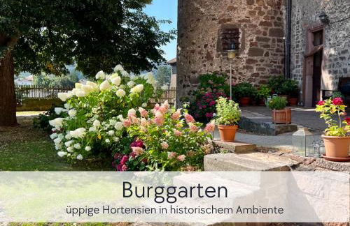 TÜRMERSTUBE - Apartment in der Hinterburg Schlitz - mit Aufzug, Parkplatz, E-Ladestation & Garten - Hunde willkommen - Foto 23
